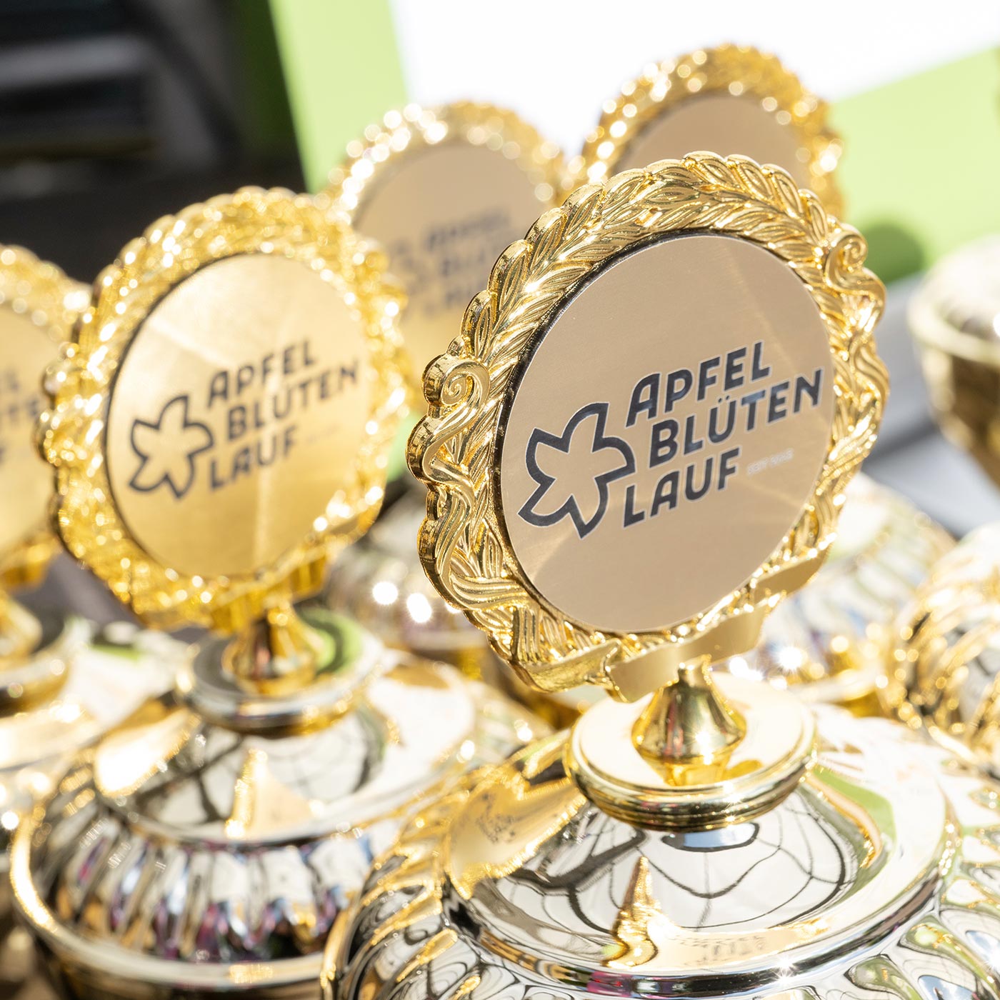 Reiber Marketing Referenz Apfelblütenlauf
