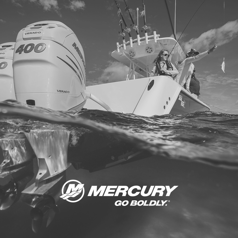 Reiber Marketing - Referenz - Mercury